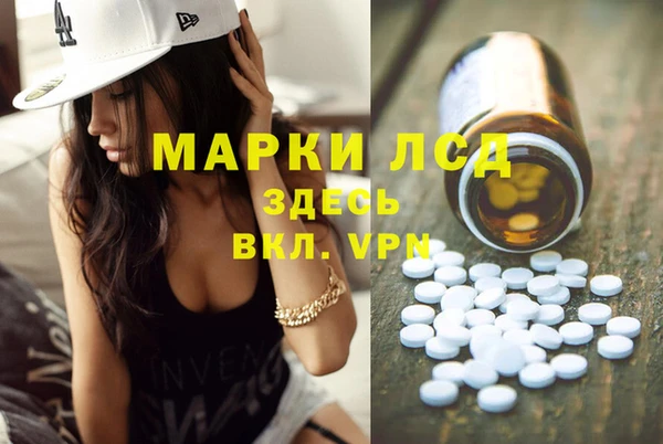 стаф Сосновка