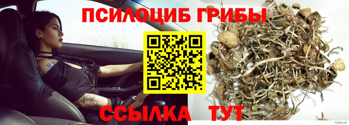 МАРИХУАНА  Вход с VPN  Мяу-Мяу  Мефедрон  Альфа ПВП  NBOMe  Нефтеюганск  Гашиш 